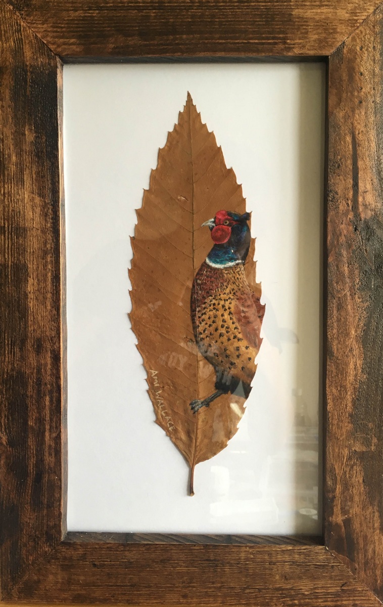 The-Autumn-Collection-Pheasant-1-of-1
