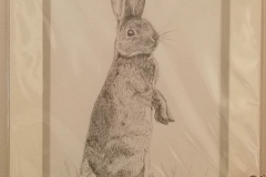 Cottontaili-Pencil-1-of-1