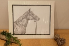 Graphic-Pencil-1-of-1