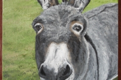 Jemima-Donkey-1-of-1