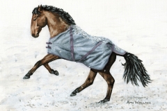 Xmas-Card-2011004-2